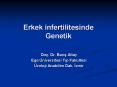 Erkek infertilitesinde Genetik PowerPoint PPT Presentation