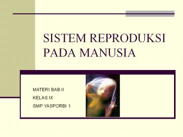 SISTEM REPRODUKSI PADA MANUSIA