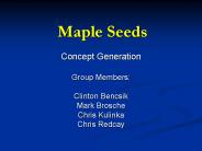 Maple Seeds