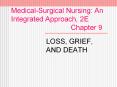 Medical-Surgical Nursing: An Integrated Approach, 2E                Chapter 9 PowerPoint PPT Presentation