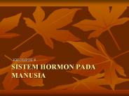 SISTEM HORMON PADA MANUSIA