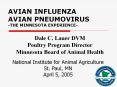 AVIAN INFLUENZA AVIAN PNEUMOVIRUS -THE MINNESOTA EXPERIENCE- PowerPoint PPT Presentation
