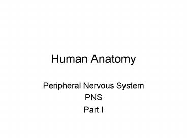 Human Anatomy