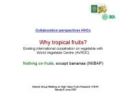 Interest Group Meeting on High Value Fruits Research ICRAF,