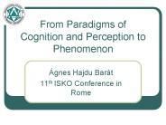 From Paradigms of Cognition and Perception to Phenomenon