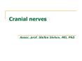 Cranial nerves PowerPoint PPT Presentation