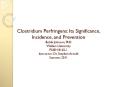 Clostridium Perfringens: Its Significance, Incidence, and Prevention Bobbi Johnson, PhD Walden University PUBH 8165-1 Instructor: Dr. Stephen Arnold Summer, 2011 PowerPoint PPT Presentation