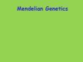 Mendelian Genetics PowerPoint PPT Presentation