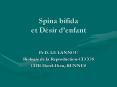 Spina bifida et D PowerPoint PPT Presentation