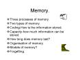 Memory. PowerPoint PPT Presentation