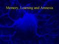 Memory, Learning and Amnesia PowerPoint PPT Presentation