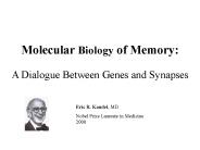 Molecular Biology of Memory: