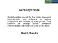 Carbohydrates PowerPoint PPT Presentation