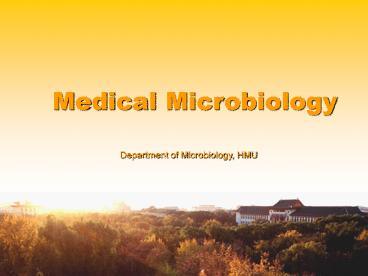 Department of Microbiology, HMU
