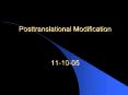 Posttranslational Modification  11-10-05 PowerPoint PPT Presentation