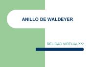 ANILLO DE WALDEYER