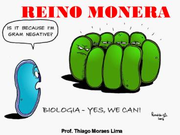 REINO MONERA