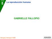 Diapositiva 1