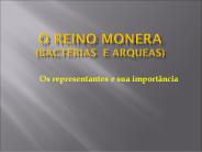 O REINO MONERA (Bact