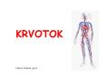 KRVOTOK PowerPoint PPT Presentation