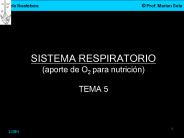 SISTEMA RESPIRATORIO (aporte de O2 para nutrici