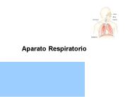 Proyecto de Libro Conjunto COTEC/DMR  Gesti