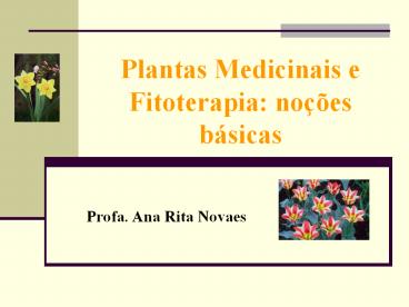 Plantas Medicinais e Fitoterapia: no