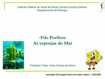 Instituto Federal do Norte de Minas Gerais-Campus Salinas