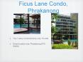 Ficus Lane Condo, Phrakanong PowerPoint PPT Presentation
