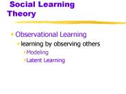 Social Learning Theory