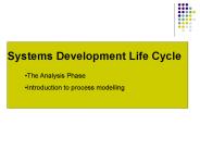 Systems Development Life Cycle