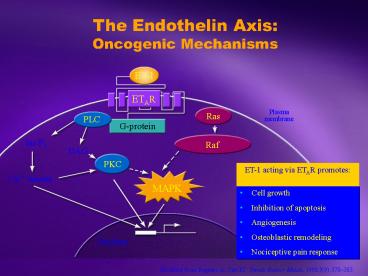 presentation player overlay