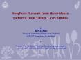Sorghum: Lessons from the evidence gathered from Village Level Studies PowerPoint PPT Presentation