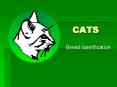 CATS PowerPoint PPT Presentation