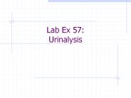 Lab Ex 57: Urinalysis