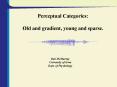 Perceptual Categories: PowerPoint PPT Presentation