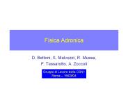 Fisica Adronica