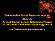 Pemanfaatan Energi Biomassa sebagai Biofuel :