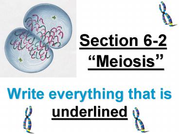 Write everything that is underlined