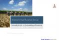 Introduction to Acquisition Finance PowerPoint PPT Presentation