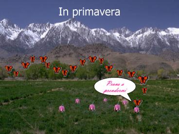 In primavera