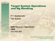 Target System Operations and Hg Handling