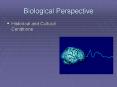 Biological Perspective PowerPoint PPT Presentation