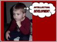 INTELLECTUAL PowerPoint PPT Presentation
