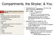 Compartments, the Stryker,