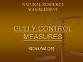 GULLY CONTROL MEASURES PowerPoint PPT Presentation