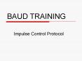 BAUD TRAINING PowerPoint PPT Presentation