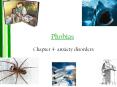 Phobias PowerPoint PPT Presentation