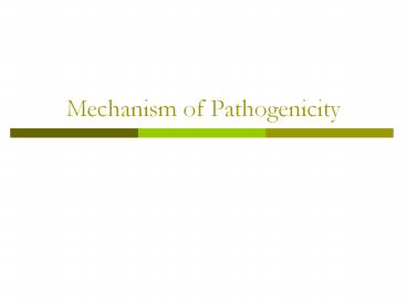 Mechanism of Pathogenicity
