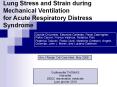 Lung Stress and Strain during Mechanical Ventilation for Acute Respiratory Distress Syndrome PowerPoint PPT Presentation